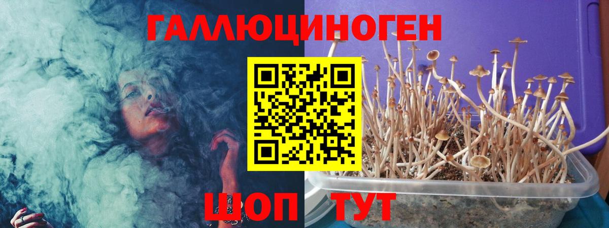 Галлюциногенные грибы Cubensis Канаш