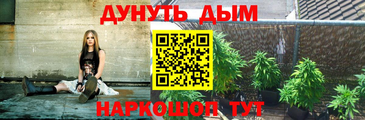 Канаш  Конопля тримм  Вход с VPN  Бошки марихуана LSD WEED  Каннабис сатива 